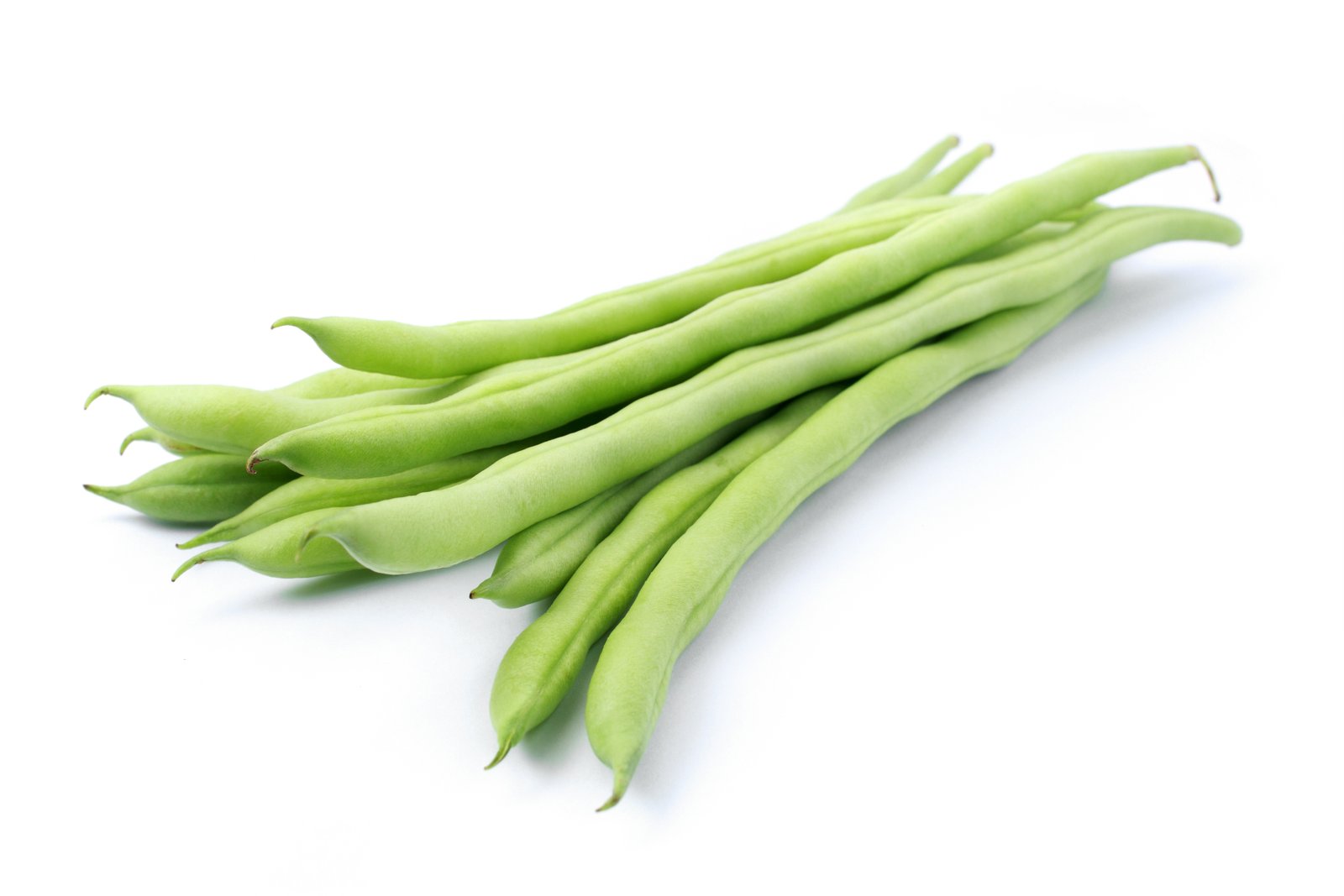 French Bean Vegetable Seeds for Home Garden & Terrace | Fresh Green Bean Plants | Easy to Grow K